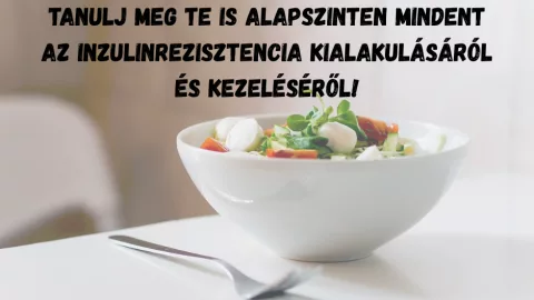 Inzulinrezisztencia: elmélet és táplálkozás alapjai