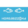 Horgász-Zóna - Legyél jobb horgász!